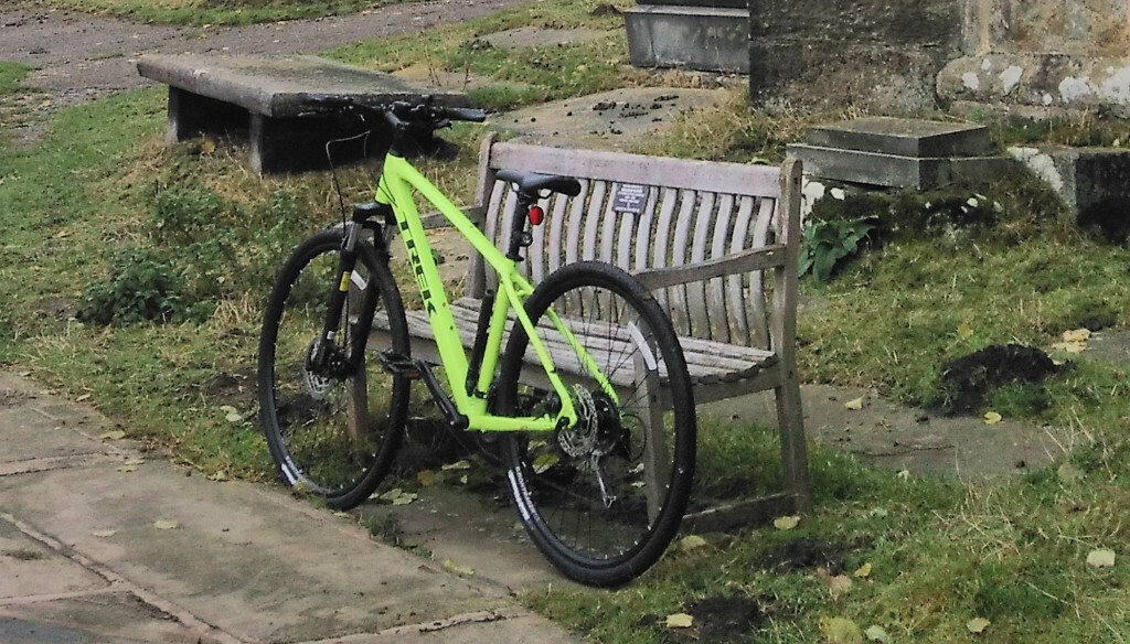 trek dual sport 3 price